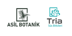 Asil Botanik Tria SUS Bitkileri